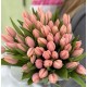 Тюльпани (0)